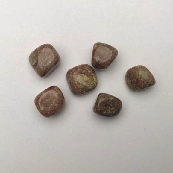 אבן מזכרת אפידוט גלטווניה 20×17 מ״מ