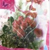 שקית מתנה 24×18 סמ (פוליאתילן)