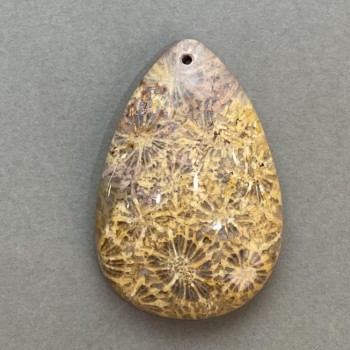 תליון קורל מאובן 48×32 מ״מ+