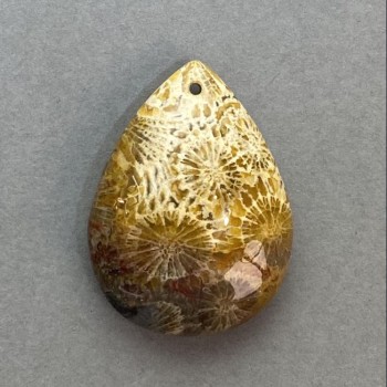 תליון מאלמוג מאובן 34×25 מ״מ+