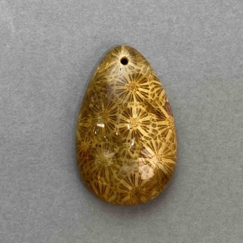 תליון קורל מאובן 38×24 מ״מ+