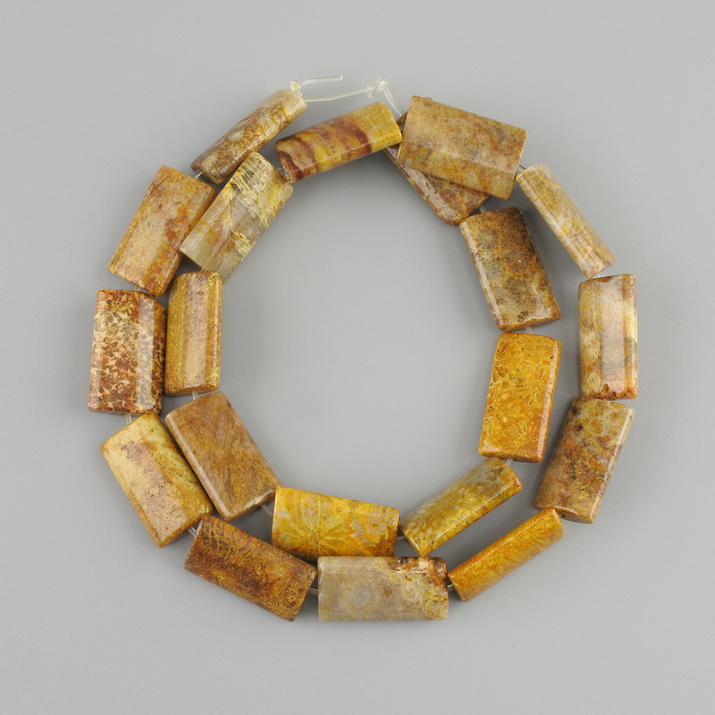חרוזים אלמוג מאובן מלבניים 20×11, 5-12mm±, אורך 39cm± על חוט דייג
