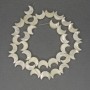 חרוזים מפרלמוט בצורת ירח, קוטר 12mm+-, אורך 40cm+- על חוט