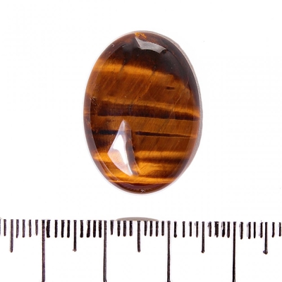 אביזרים Cabochon Tiger Eye 25x18mm