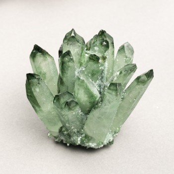 דרוזה מזכרת «מוש אירי» משקל מ-450 גרם (ל-100 גרם)