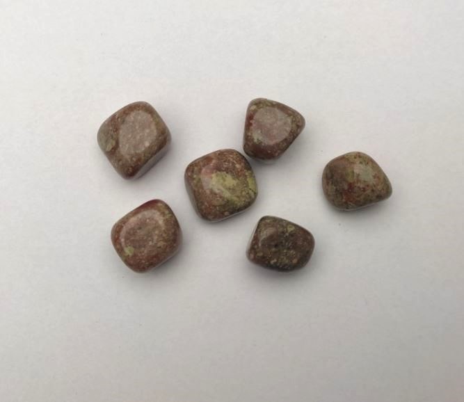 אבן מזכרת אפידוט גלטווניה 20×17 מ״מ