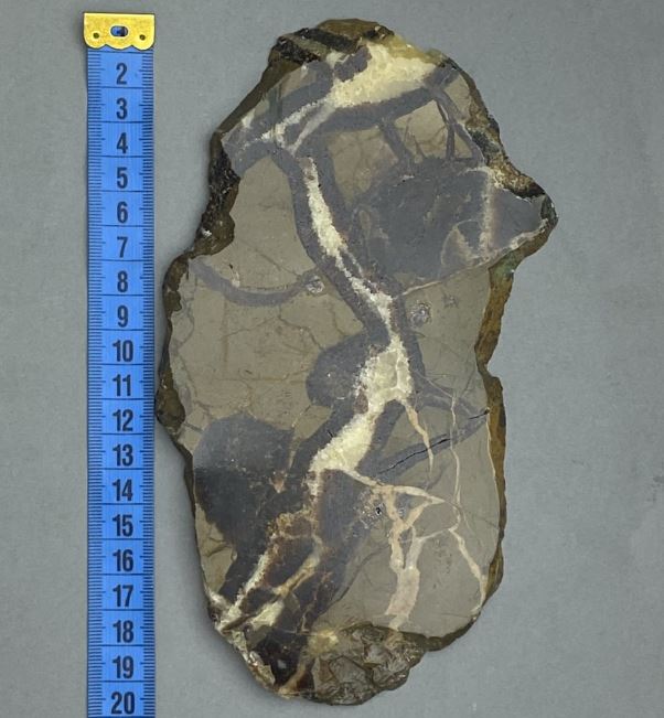 שלט מזכרת מאבן טבעית ספטאריה 19×11×0.9 ס״מ ± (משקל 341 גרם)