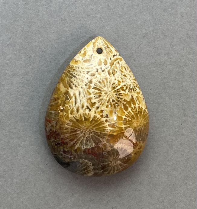 תליון מאלמוג מאובן 34×25 מ״מ+