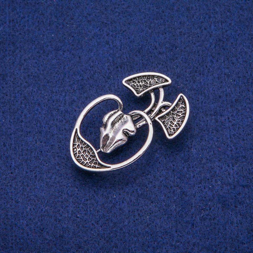 סיכת אנטומיה 28×45 מ״מ, מתכת כסופה